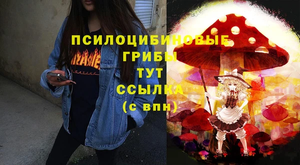 крисы Нестеровская