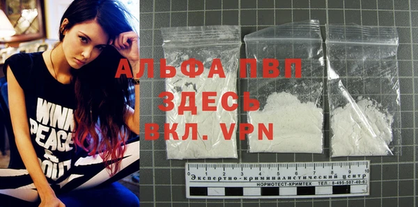 ешки Богданович