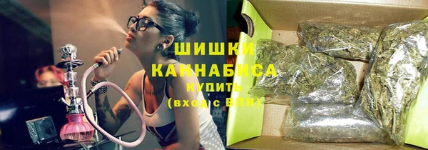 крисы Нестеровская