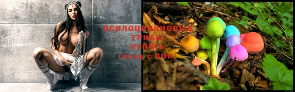 бошки Фёдоровский