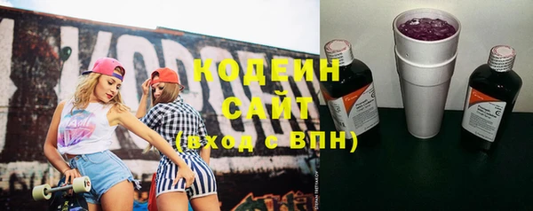 крисы Нестеровская